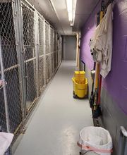 Pet Paradise image 8