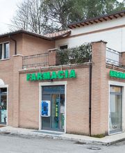 Gallery Professionale