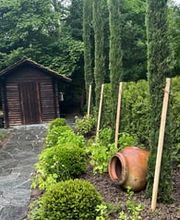 Schneider Gartengestaltung AG Bild 10