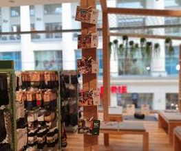 Globetrotter Dortmund Bild 14