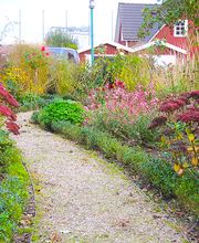 Geerkens Gartenbau Bild 1