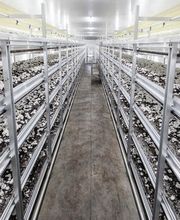 Gallery Professionale