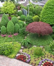 Thomas Kuster Gartenbau & Gartenpflege Bild 7
