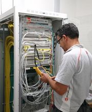 Wild Electric AG Bild 1