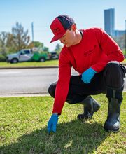 Pied Piper Pest, Termite & Lawn Services image 4