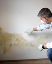 F3P - France Protection Plus Pour Patrimoine Angoulême image 6