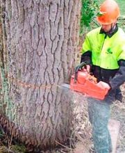 Nature Domestiquee image 17