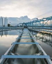 MOSQUINTES, S.L imagen 8