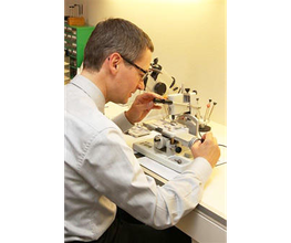 Optik Gross Bild 1