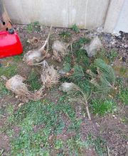 KH Anti-Nuisibles 3D image 9