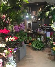 Savina Fleurs image 8