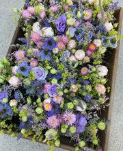 Bluemelade bim Schloss GmbH Bild 11