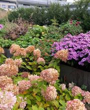 zehnder-garten GmbH Bild 5