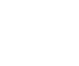 Bauknecht_ DE Kundendienst