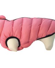 Les accessoires de Daisy image 14