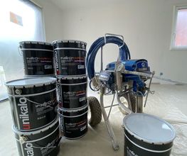 DLB Peinture image 10