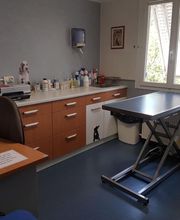 Duvivier Sophie image 8