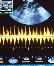 Centro Médico Veterinario Los Álamos imagen 11