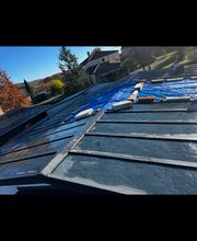 Alibert Plaquiste Peintre image 2