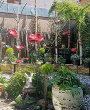 Pluie de Pétales image 5