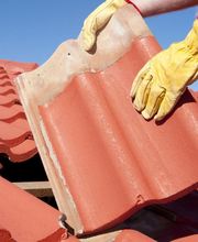 Allo Laurent image 1