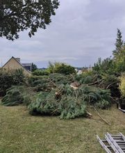 Krismann Espaces Verts image 7