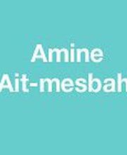 Ait Mesbah Amine image 1