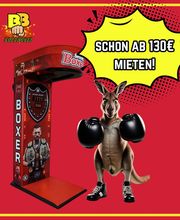 Boxbruder Bild 2