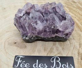 Fée des Bois image 13