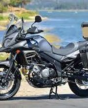 Gallery Professionale