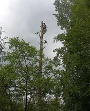 Acrobatic image 15
