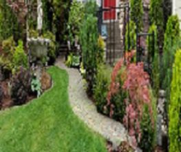 Roye Garden image 4