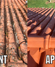 Eden Habitat image 10