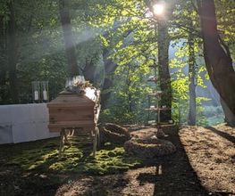 Wald-Zeremomien Bild 14