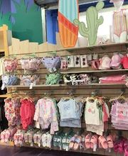 Orchestra QUEVERT image 4