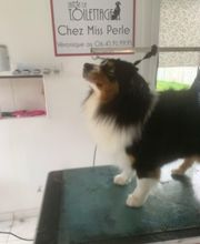 Chez Miss Perle image 1