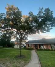 Prestige Tree Service Inc. image 4