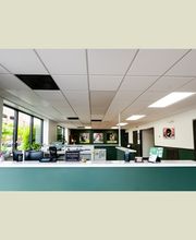 Epic Tails Veterinary Clinic image 2