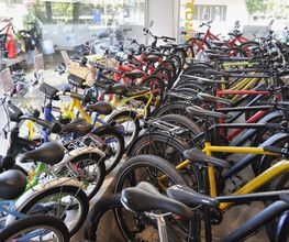 Velo Kretschmann Liebefeld Bild 3