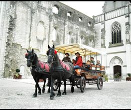 Le Haras De Muralis image 6