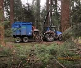 Boomverzorging Bouwmeester
