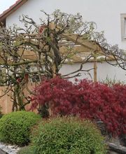 Fabrice Rondez Sàrl Bild 5