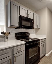 Elements of Madison Apartments image 3