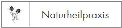 Praxis für Frauenheilkunde und Darmgesundheit - Dominique Gina Gernun