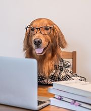 energy4pets Katja Schaalburg Bild 10