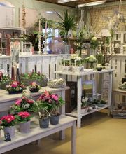 BlumenAmbiance GmbH Bild 1