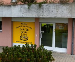 Hundesalon Adonis GmbH Bild 5