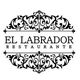 logoellabrador.png