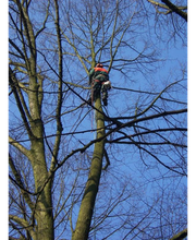 Kleine-Boymann GmbH Bild 4