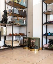 Lina, Hundert Prozent wau, Gesundheit, Training und Unterstützung für Hunde und ihre Menschen, Sandra Egli Bild 8